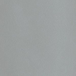 SILVER D301