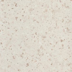 F038 VENUS