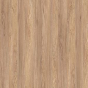Elm 37965