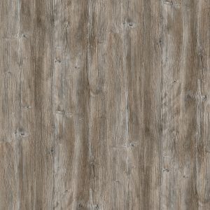 Ponderosa Bor R55004