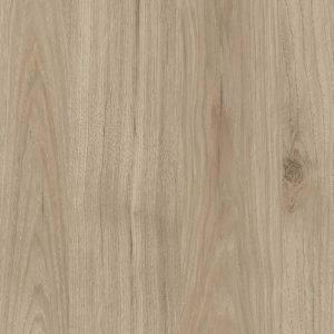 Virginia Chestnut Y641